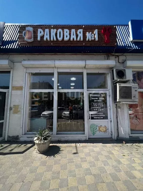 Помещение свободного назначения в Краснодарский край, Новороссийск ул. ... - Фото 1