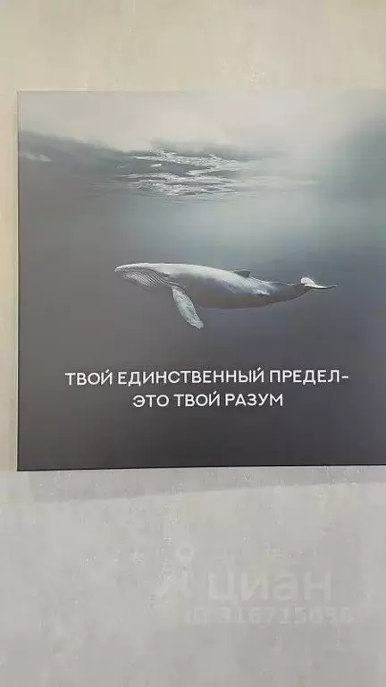 1-к кв. Псковская область, Псковский район, Завеличенская волость, д. ... - Фото 2