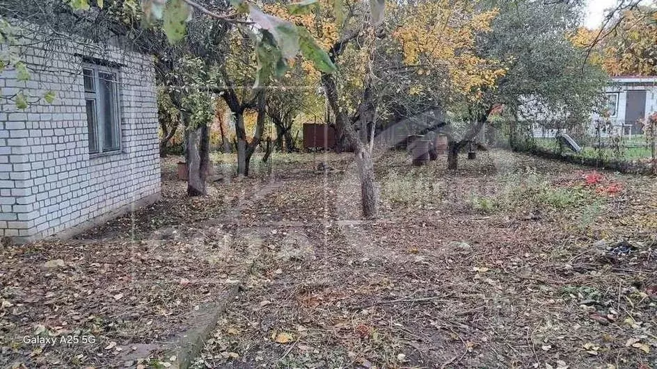Дом в Воронежская область, Воронеж Заветы Мичурина СНТ, ул. Розовая, ... - Фото 1