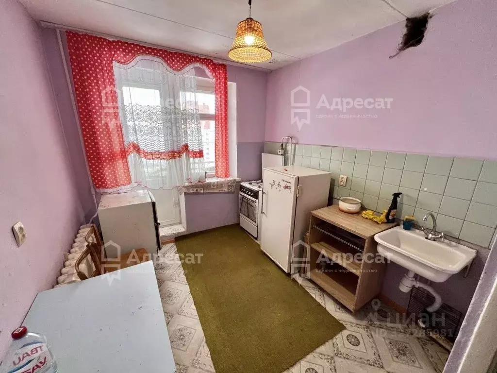 1-к кв. Волгоградская область, Волгоград ул. Николая Отрады, 10А (35.0 ... - Фото 1