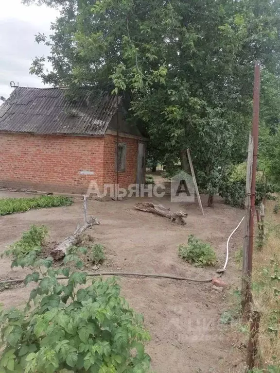 Участок в Ростовская область, Белая Калитва БКМПО-1 садоводческое ... - Фото 2
