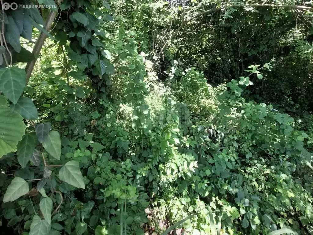 Участок в Краснодарский край, городской округ Сочи, село Верхний Юрт, ... - Фото 0