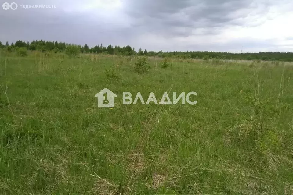 Участок в Ивановский муниципальный округ, село Елюнино (17 м) - Фото 1