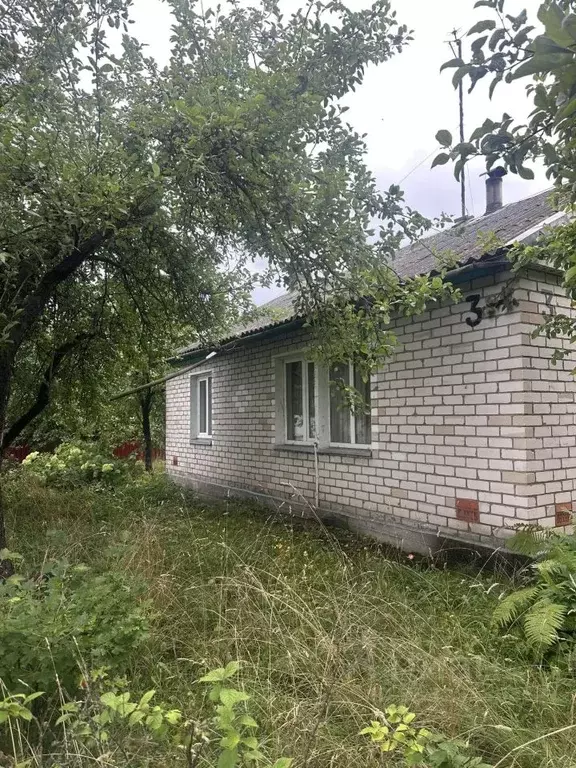 Дом в Псковская область, Псковский муниципальный округ, д. Дуброво ... - Фото 1