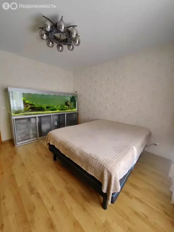 1-комнатная квартира: Архангельск, улица Романа Куликова, 6 (35.9 м) - Фото 1