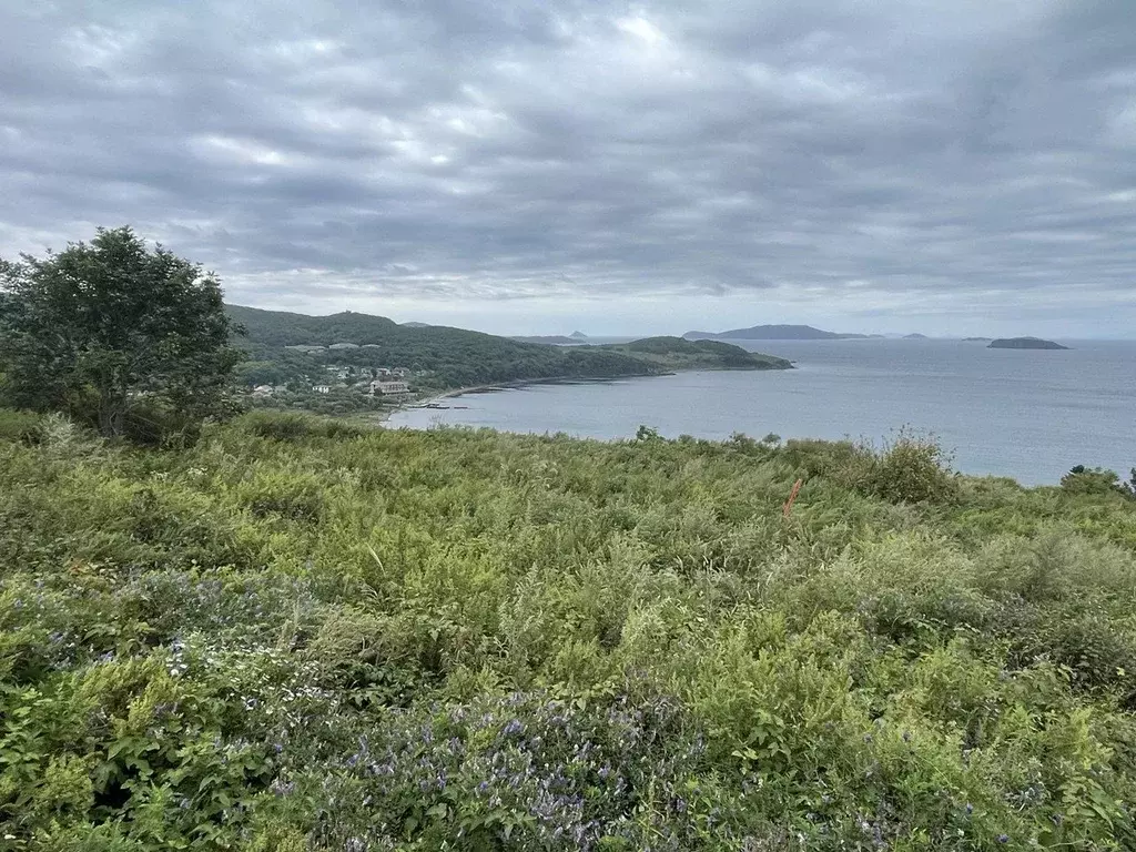 Участок в Приморский край, Владивостокский городской округ, пос. ... - Фото 1