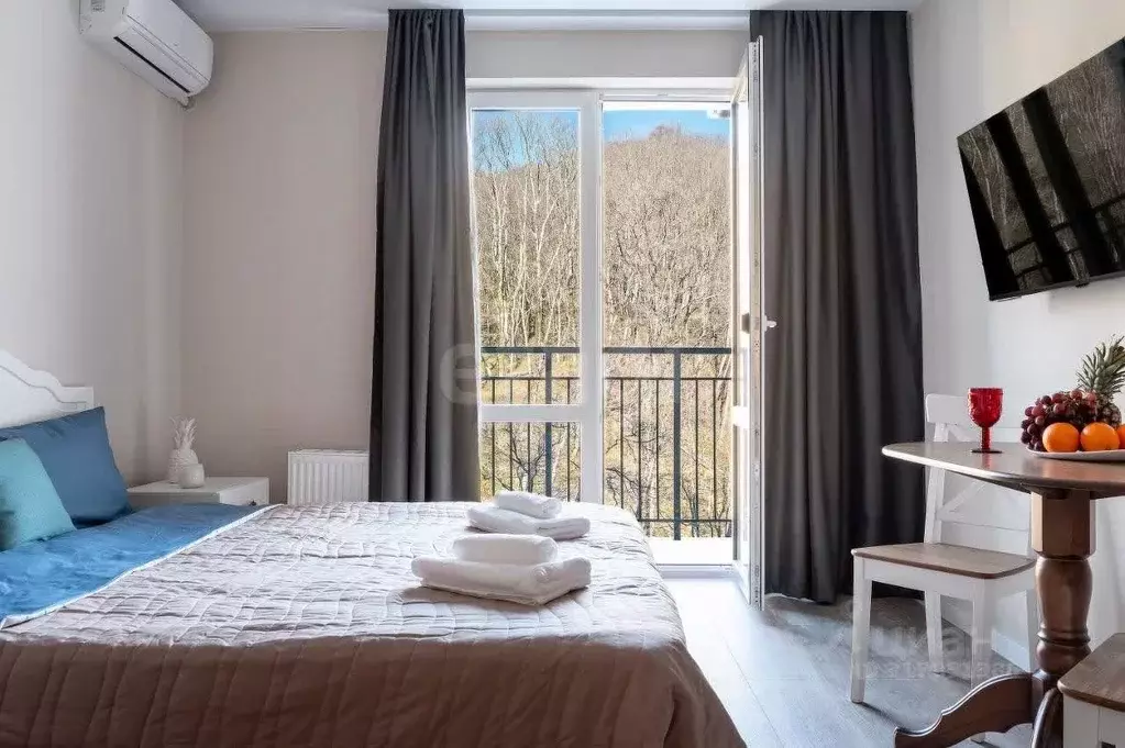 Студия Краснодарский край, Сочи ул. Искры, 88к3 (27.9 м) - Фото 1