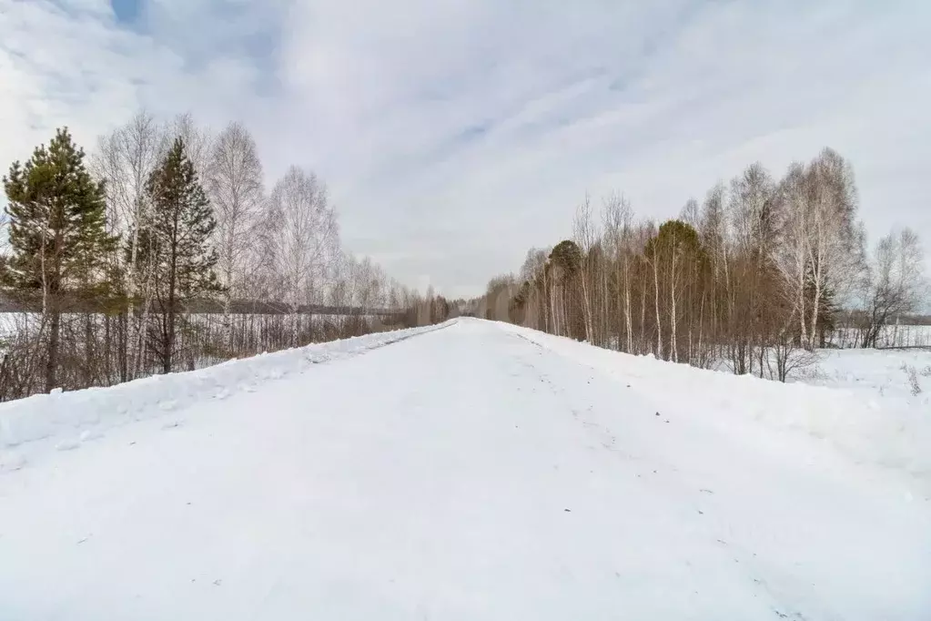 Участок в Тюменская область, Тюмень  (2481.16 сот.) - Фото 1