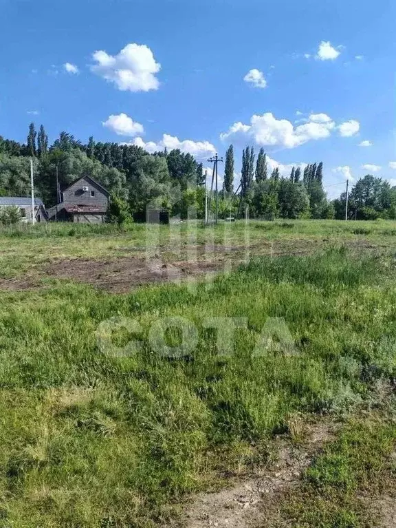 Участок в Воронежская область, Новоусманский район, Усманское 1-е ... - Фото 2