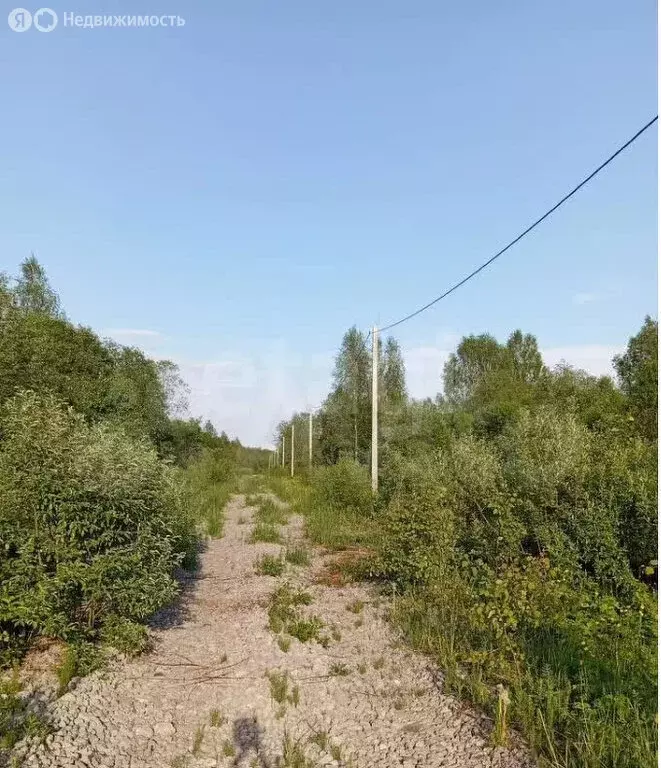 Участок в Вологодская область, Череповецкий муниципальный округ, ... - Фото 2