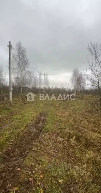 Участок в Московская область, Электросталь городской округ, д. Есино ... - Фото 1