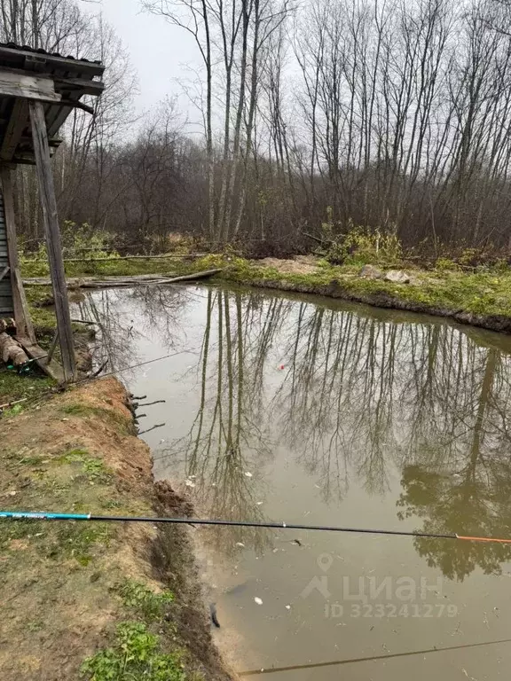 Дом в Тверская область, Калязинский муниципальный округ, д. Новое  (45 ... - Фото 1