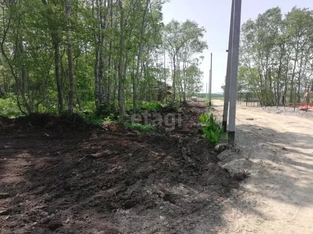 Участок в Сахалинская область, Анивский городской округ, с. Троицкое ... - Фото 1