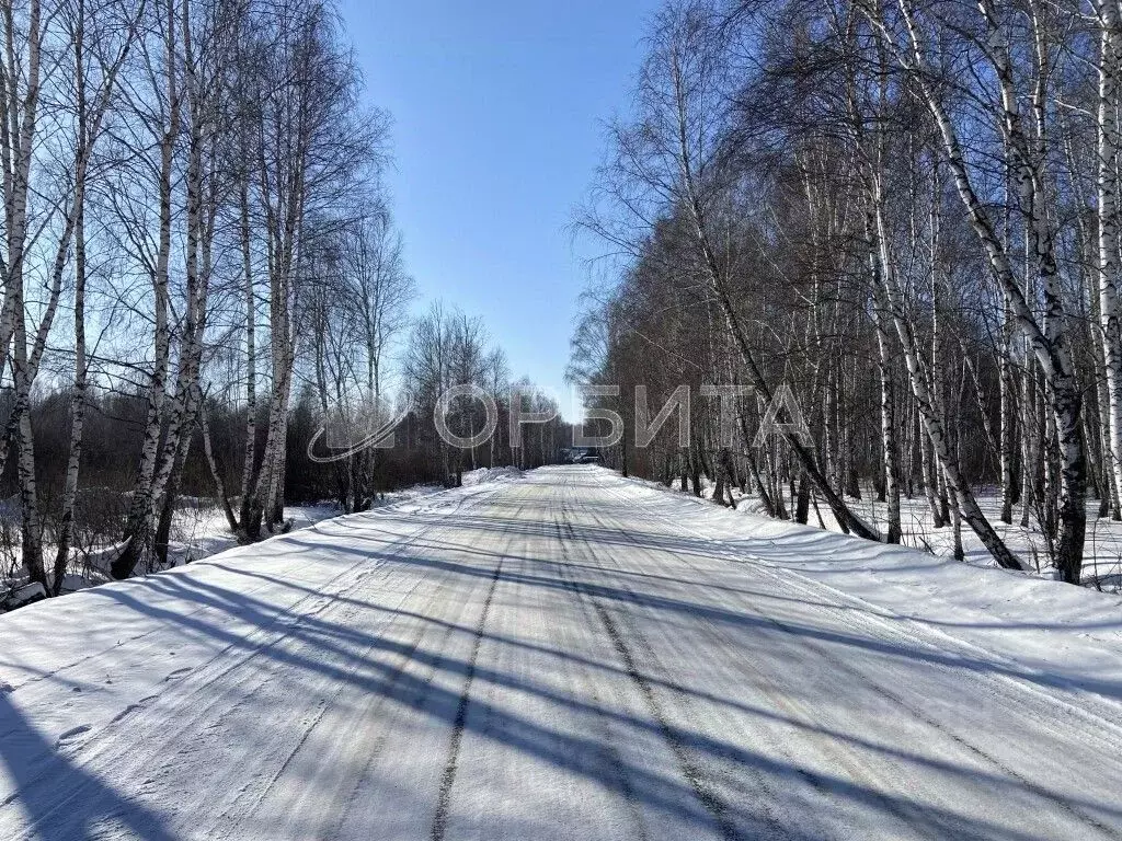 Участок в Тюменская область, Нижнетавдинский район, Тюневское с/пос, ... - Фото 1