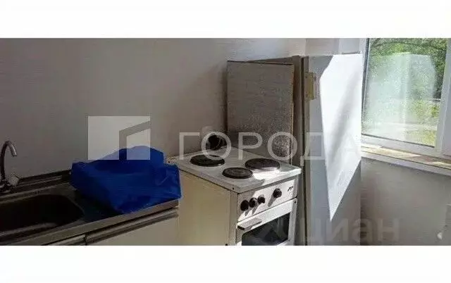 1-к кв. Новосибирская область, Новосибирск Широкая ул., 137 (29.0 м) - Фото 2