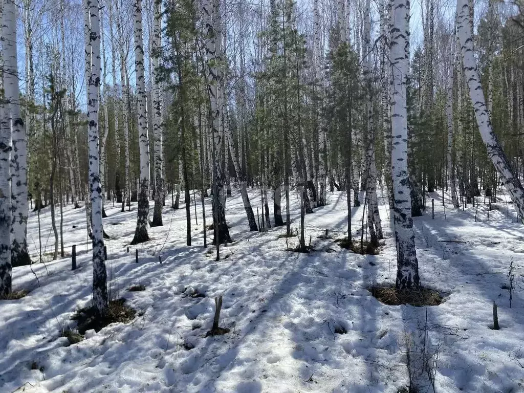 Участок в Свердловская область, Екатеринбург пос. Рудный,  (8.0 сот.) - Фото 1