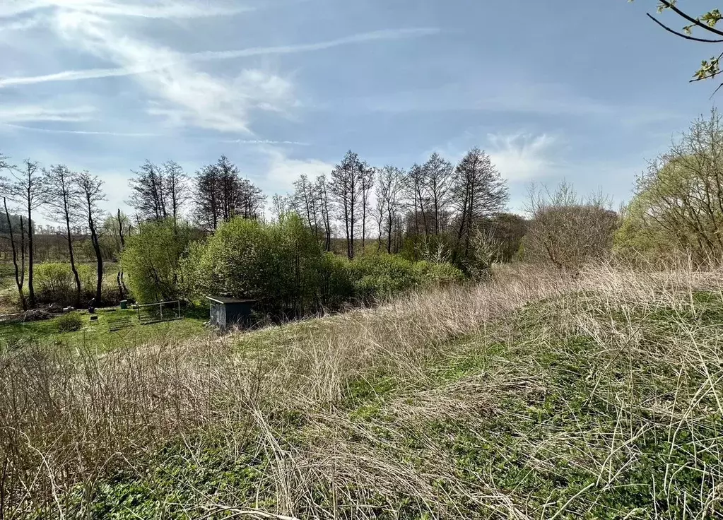 Участок в Московская область, Коломна городской округ, д. Ворыпаевка ... - Фото 1