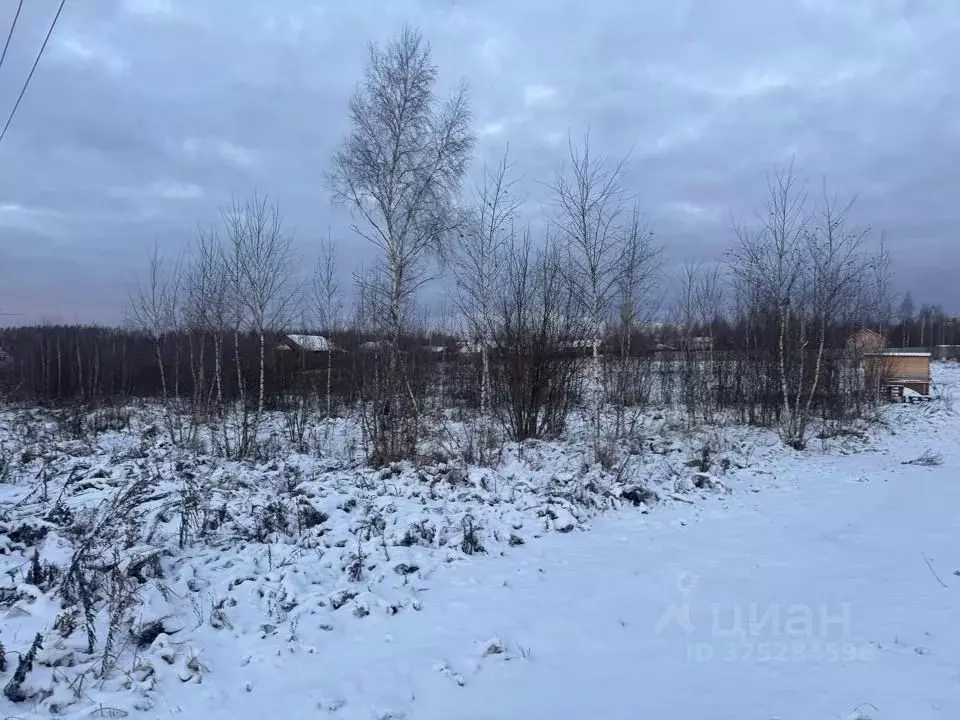 Участок в Московская область, Кашира проезд 2-й Новоселов (15.5 сот.) - Фото 1