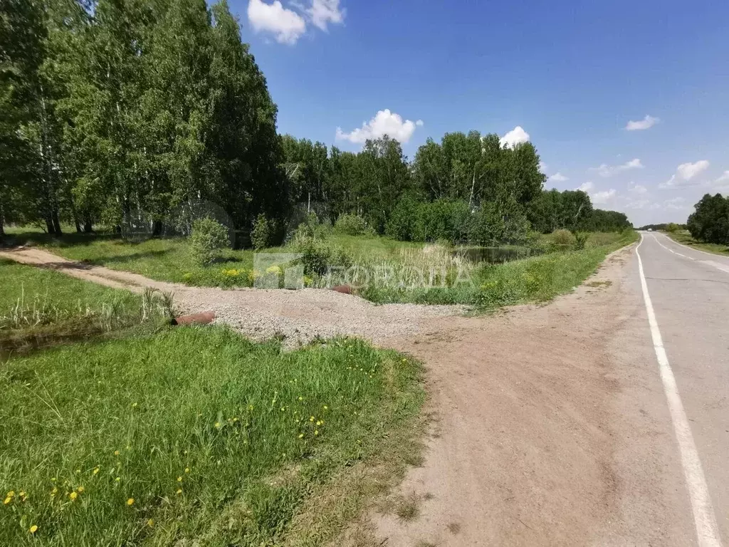 Участок 65 сот. (СНТ, ДНП) - Фото 1