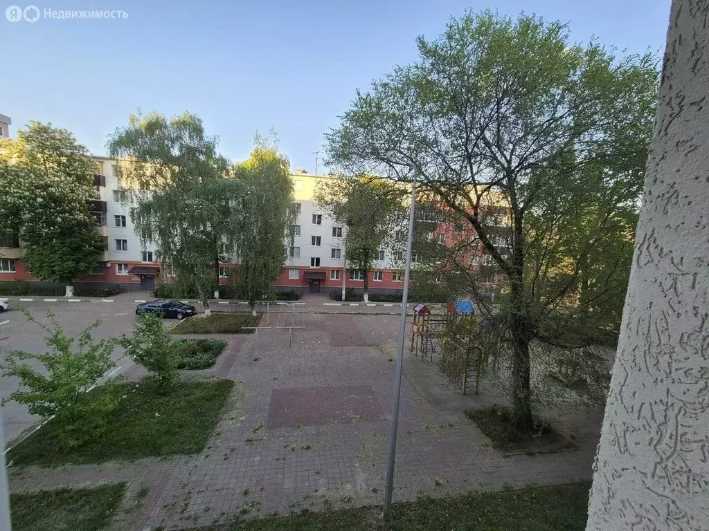1к в 7-комнатной квартире (9.3 м) - Фото 2