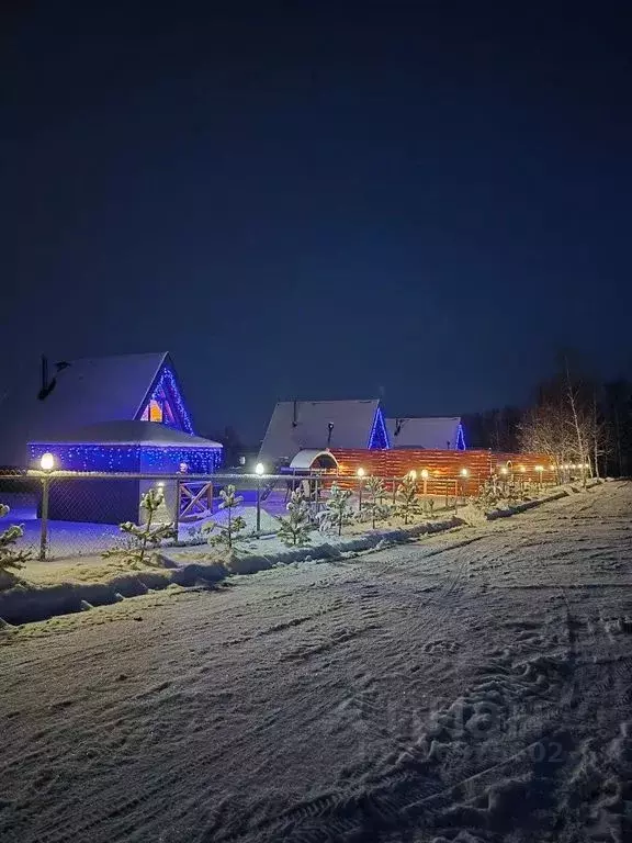Дом в Тульская область, Донской  (80 м) - Фото 1