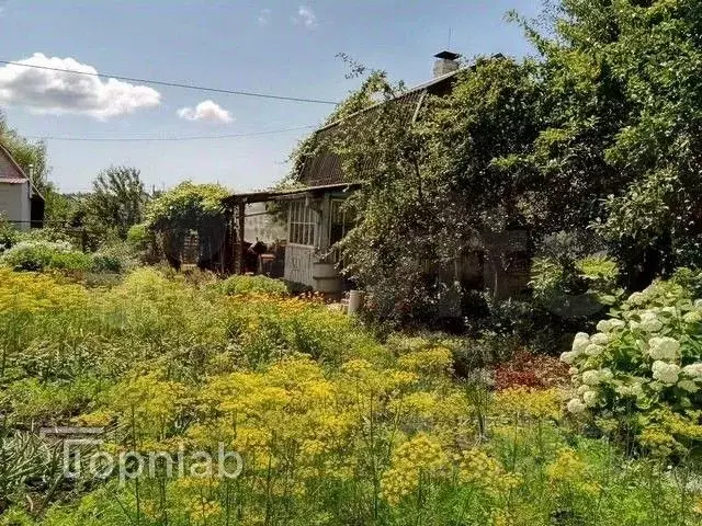 Участок в Калининградская область, Калининград Александра ... - Фото 1