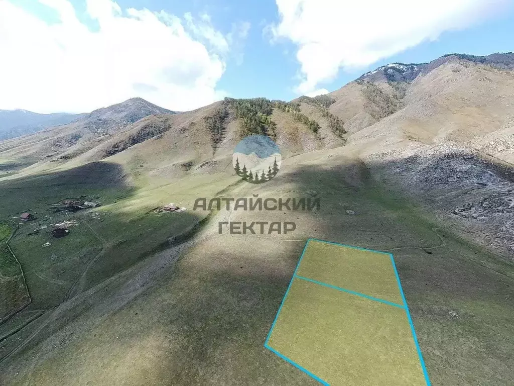 Участок в Алтай, Онгудайский район, с. Купчегень  (10.0 сот.) - Фото 1