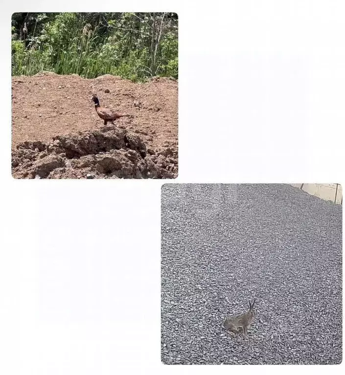 Участок в Ростовская область, Ростов-на-Дону Волнистая ул. (5.8 сот.) - Фото 2