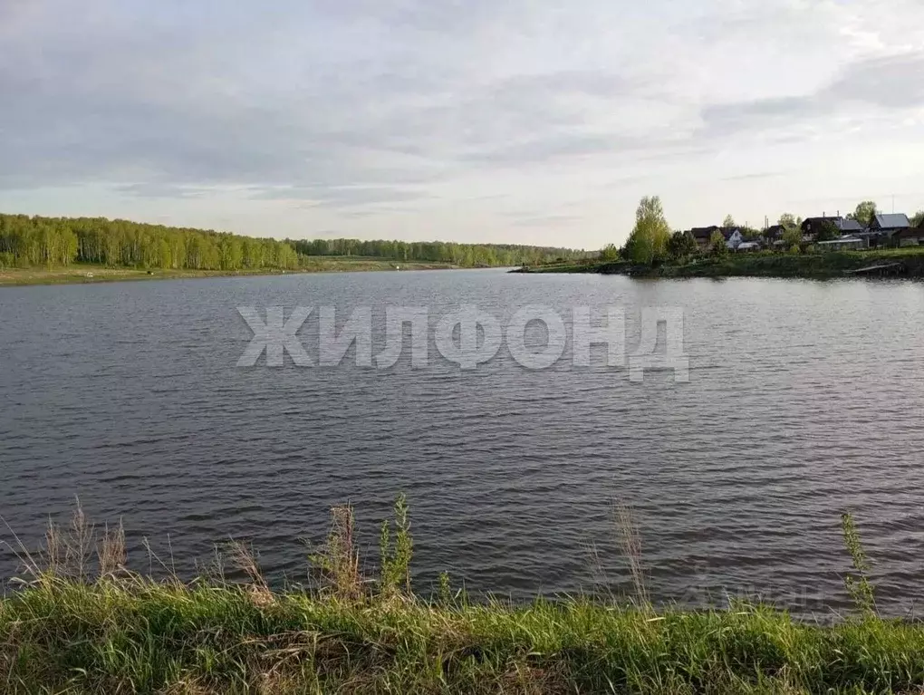 Дом в Новосибирская область, Мошковский район, с. Барлак Озерная ул. ... - Фото 0