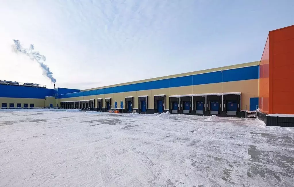 Склад в Новосибирская область, Новосибирск ул. Петухова, уч29 (2000 м) - Фото 2