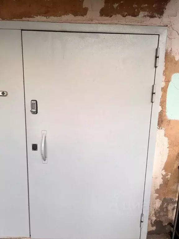 Помещение свободного назначения в Санкт-Петербург ул. Черняховского, ... - Фото 1