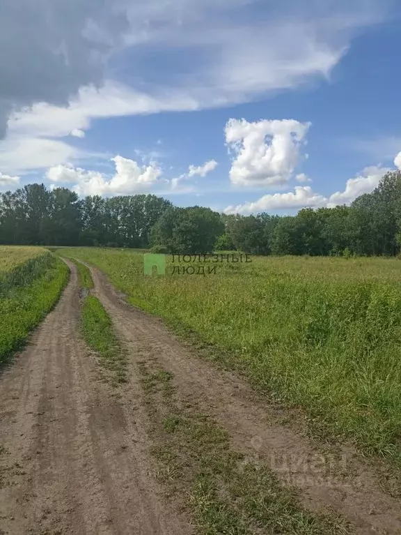 Участок в Тульская область, Киреевский район, Шварцевское ... - Фото 1