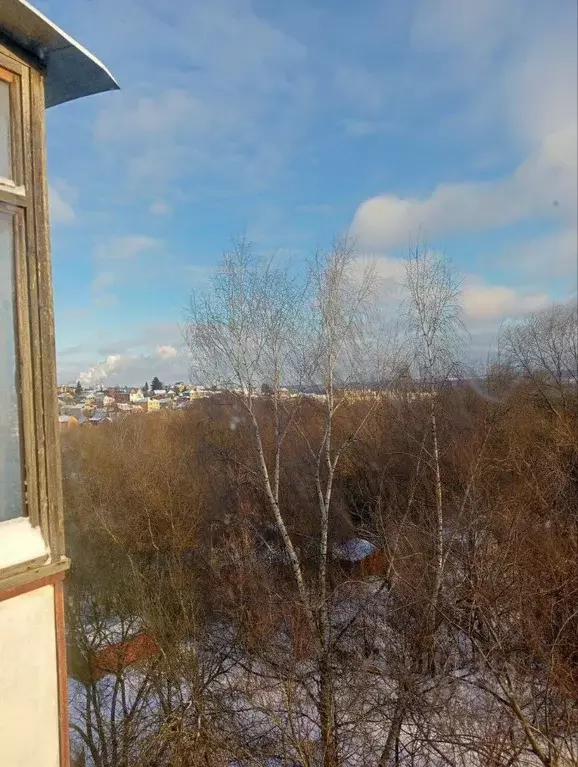 1-к кв. Владимирская область, Владимир Сущевская ул., 1 (30.0 м) - Фото 2