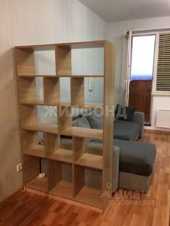 Студия Новосибирская область, Новосибирск ул. Романова, 60 (30.0 м) - Фото 1