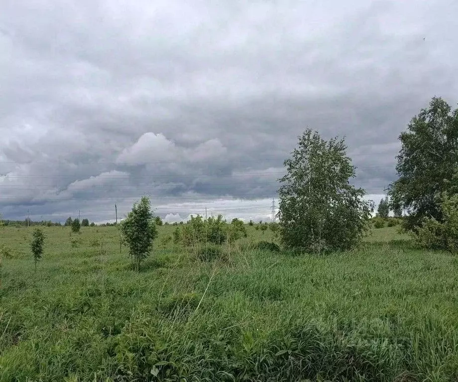 Участок в Московская область, Серпухов городской округ, д. Нефедово  ... - Фото 2