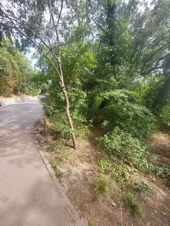 Участок в Крым, Ялта городской округ, Ливадия пгт ул. Батурина, 3 ... - Фото 0