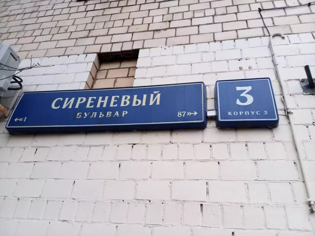 Помещение свободного назначения в Москва Сиреневый бул., 3К3 (175 м) - Фото 1