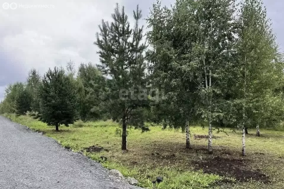 Участок в Кемеровский муниципальный округ, деревня Солонечная (7.5 м) - Фото 0