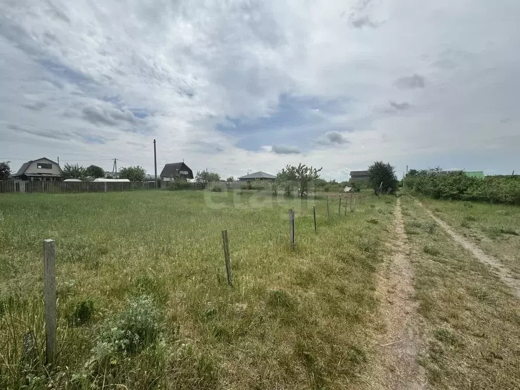 Участок в Брянская область, Брянский район, Новодарковичское с/пос, ... - Фото 2