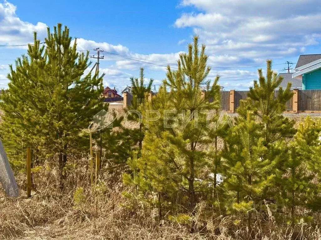 Участок в Тюменская область, Тюменский район, с. Каменка  (14.86 сот.) - Фото 0