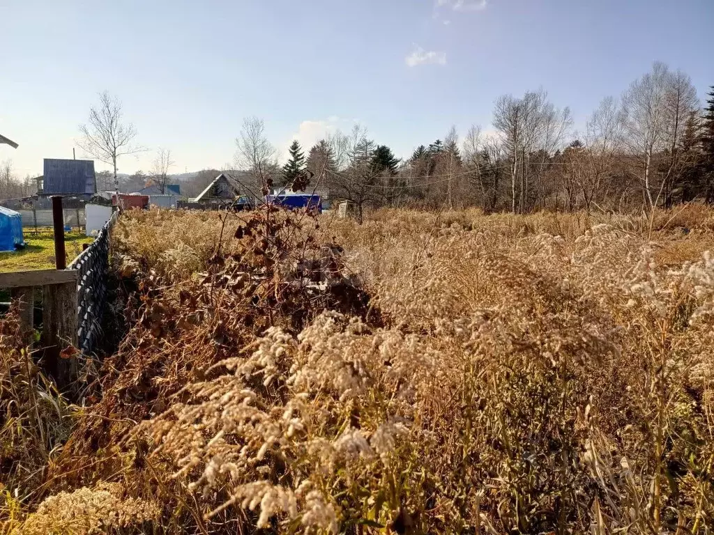 Участок в Сахалинская область, Южно-Сахалинск Малинка-2 СНТ, 52 (7.11 ... - Фото 1