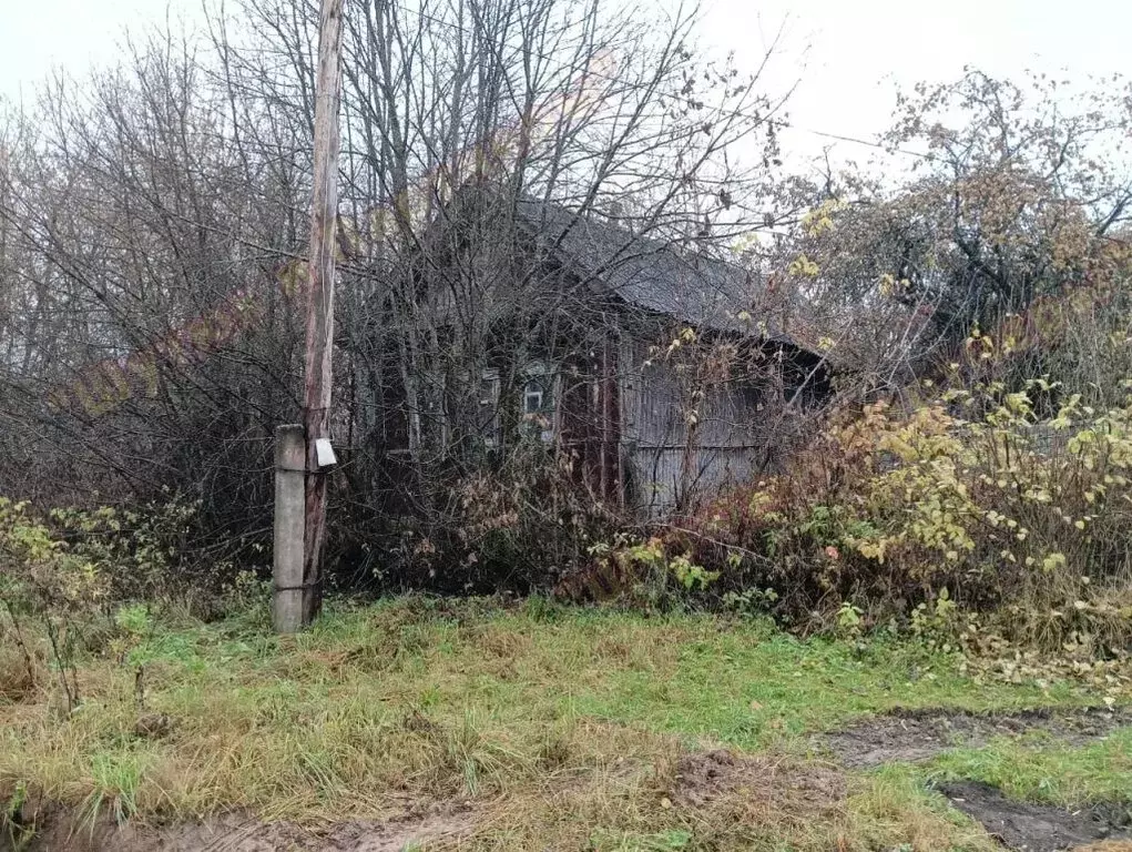 Дом в Максимово, улица Каманина, 64 (48 м) - Фото 2