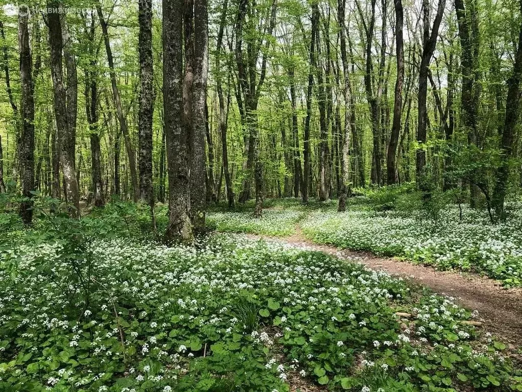 Дом в Ставрополь, садовое товарищество Спутник, улица Спутник-3 (95 м) - Фото 2