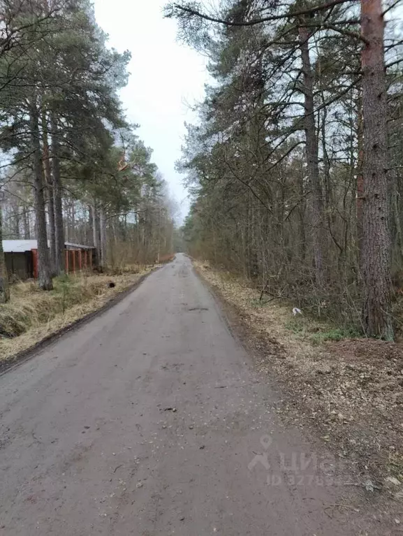 Участок в Ленинградская область, Ломоносовский район, Копорское с/пос, ... - Фото 1