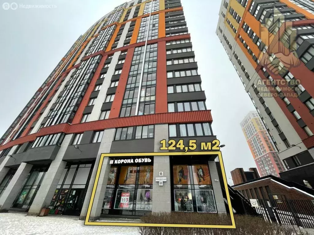 Помещение свободного назначения (124.5 м) - Фото 1