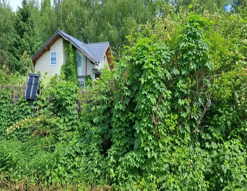 Участок в Московская область, Мытищи городской округ, с. Марфино ул. ... - Фото 2