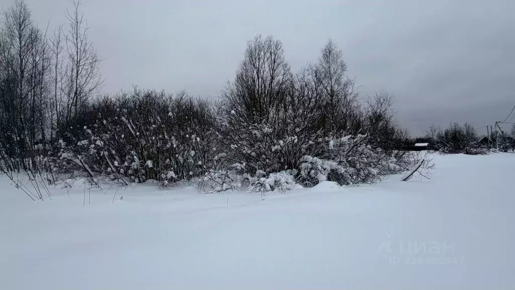 Участок в Московская область, Истра муниципальный округ, пос. Хуторки ... - Фото 1