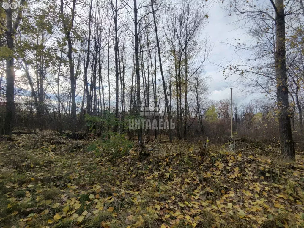 Участок в Воронеж, жилой массив Задонье (10 м) - Фото 1