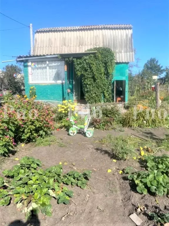 Дом в Омская область, Омск СОСН Механизатор тер.,  (28 м) - Фото 1