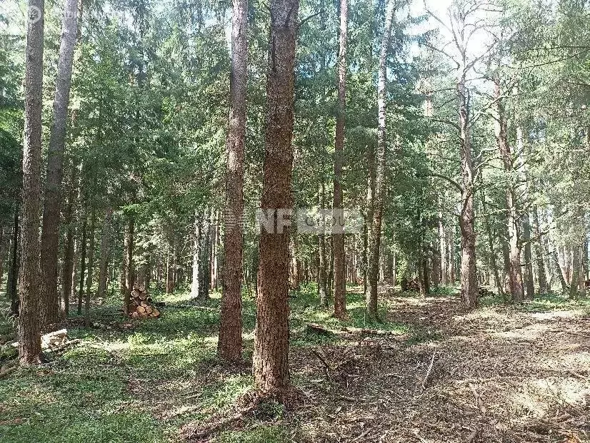 Участок в Московская область, городской округ Клин, территория ... - Фото 1